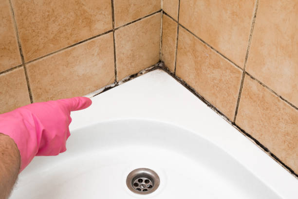 Best Black Mold Removal  in Porterdale, GA